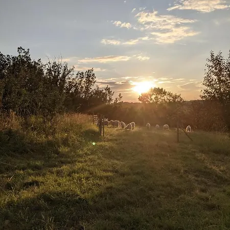 Horizon Mohair * Saint-Projet (Lot)