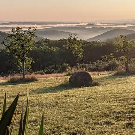 Campo de lujo Horizon Mohair Saint-Projet (Lot)